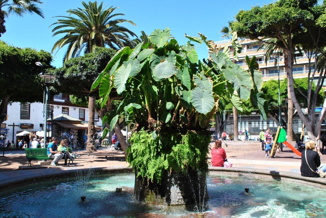 Durazno Tropical Apartment Puerto De La Cruz Екстериор снимка